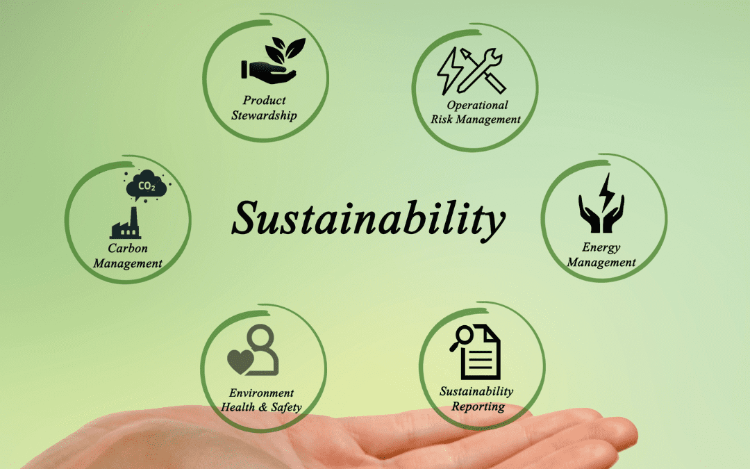 How to Build a Robust, Sustainable Business